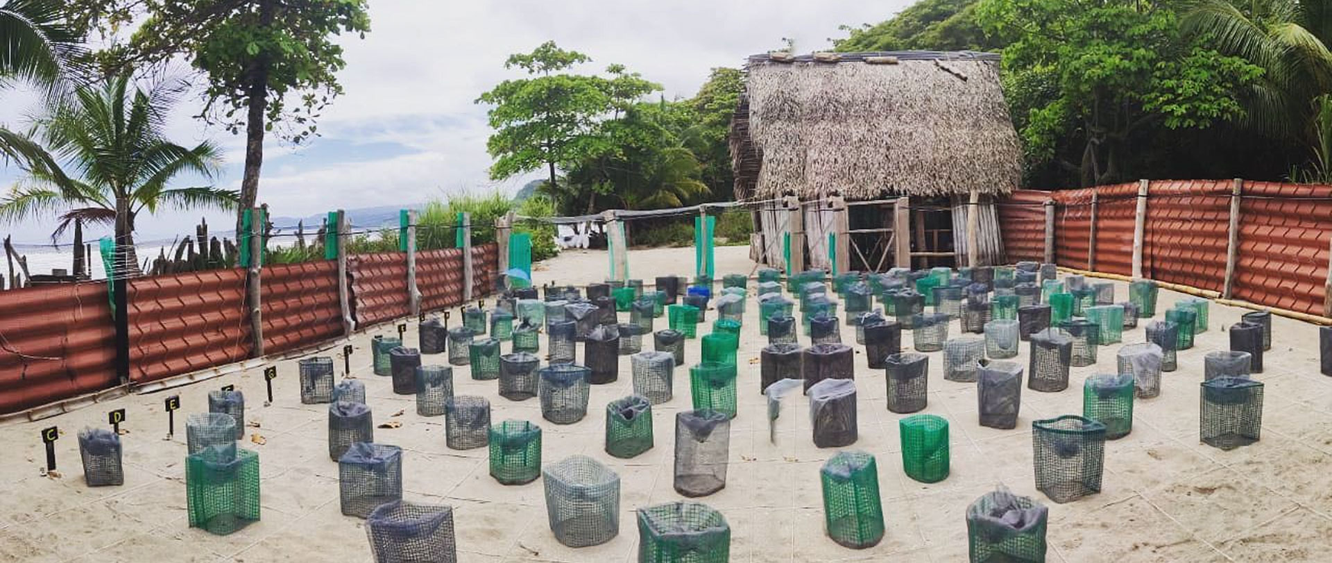 Preserving Costa Rica’s Natural Legacy: Conservation at Romelia