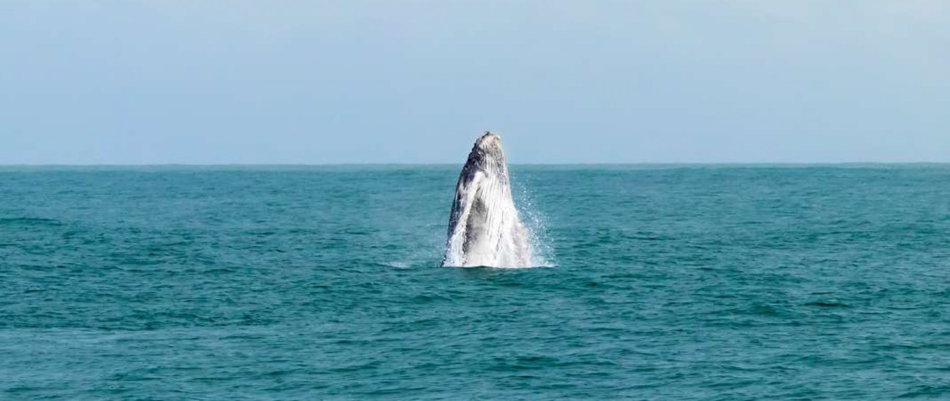 Montezuma: The Pacific’s Best- Kept Secret and a Refuge for Slow Tourism