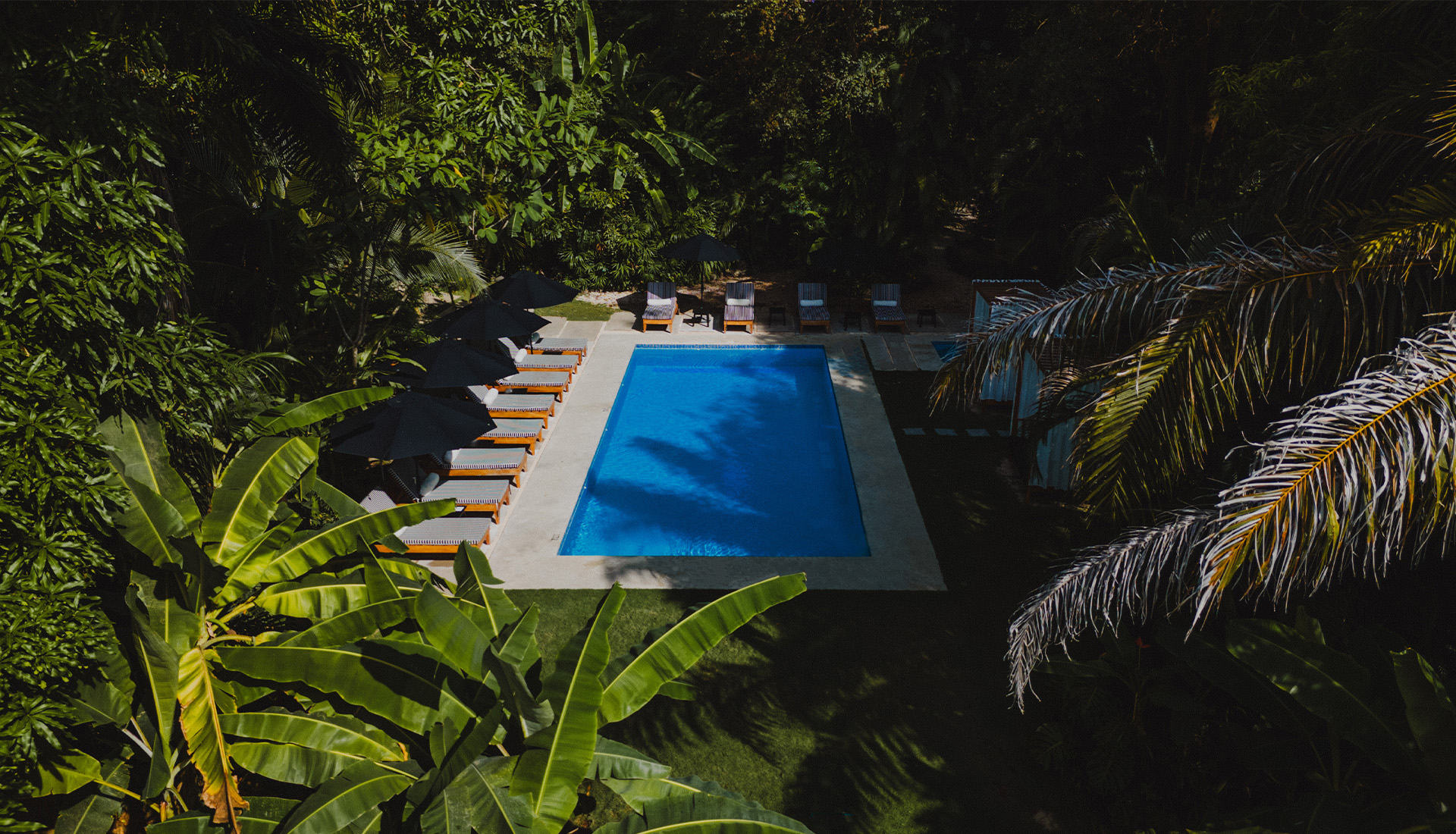 Garden & Pool